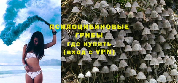 apvp Нягань