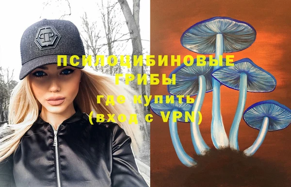 ешки Няндома