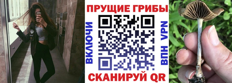 Галлюциногенные грибы прущие грибы кракен онион Верещагино